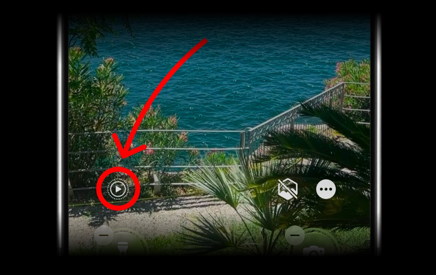 The Motion toggle for a Live Photo wallpaper